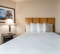 Sonesta Simply Suites Fossil Creek Suite