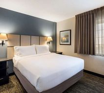 Sonesta Simply Suites Atlanta Gwinnett Place Room