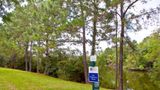 Sonesta Simply Suites Jacksonville Other