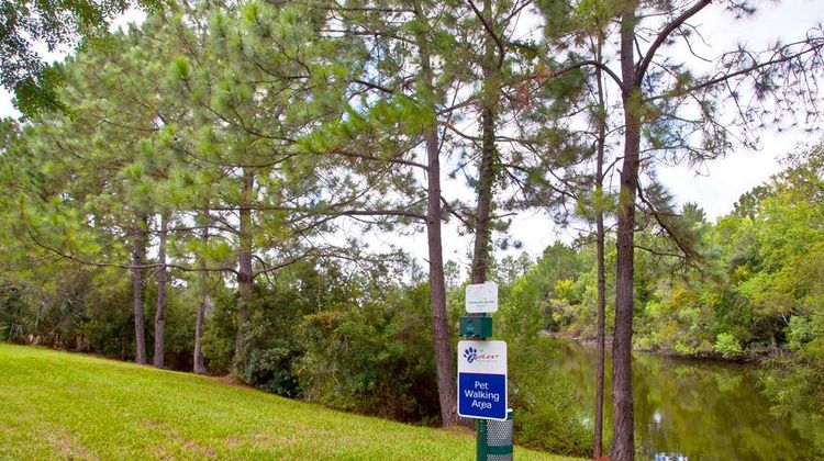 Sonesta Simply Suites Jacksonville Other