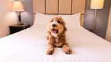 Sonesta Simply Suites Jacksonville Other