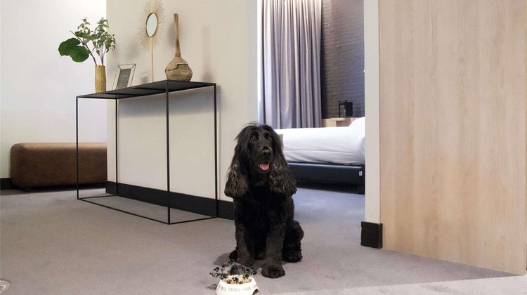 Ibis Styles Centre Arras Other
