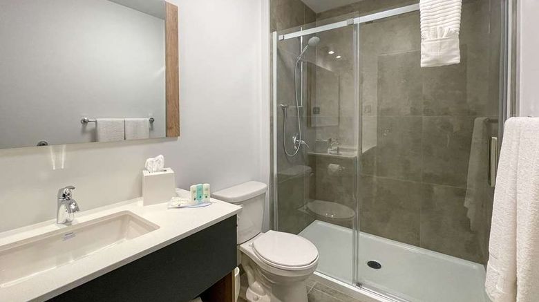 <b>Quality Inn Quebec Room</b>. Images powered by <a href="https://iceportal.shijigroup.com/" title="IcePortal" target="_blank">IcePortal</a>.