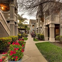 Sonesta ES Suites San Jose Airport