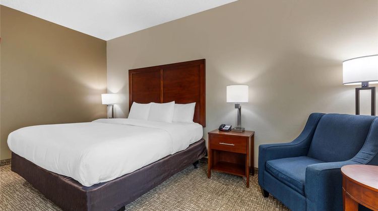 Comfort Inn & Suites Temple Room