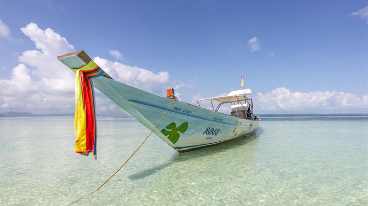 Avani Samui Resort Recreation