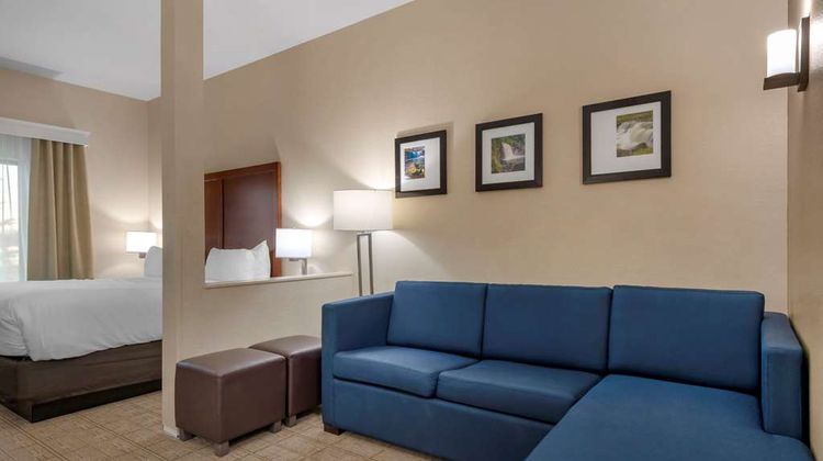 Comfort Inn & Suites Mankato Suite