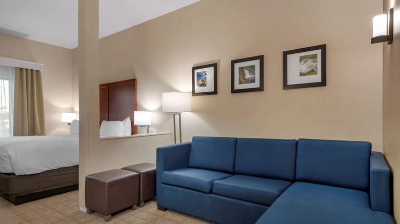 <b>Comfort Inn & Suites Mankato Suite</b>. Images powered by <a href="https://iceportal.shijigroup.com/" title="IcePortal" target="_blank">IcePortal</a>.