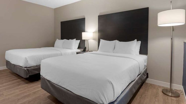 Comfort Suites Cincinnati Room