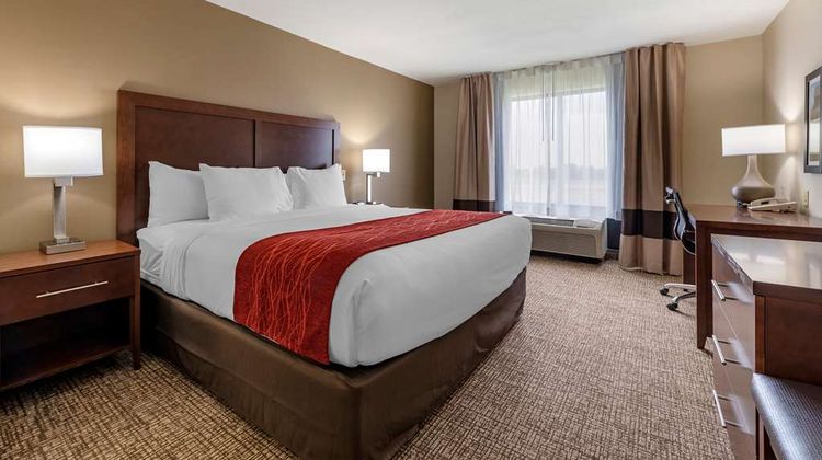 Comfort Inn & Suites Suite