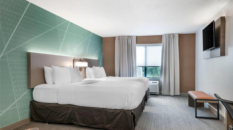 <b>Comfort Inn & Suites Lake George Room</b>. Images powered by <a href="https://iceportal.shijigroup.com/" title="IcePortal" target="_blank">IcePortal</a>.