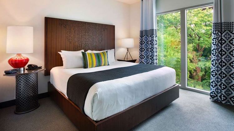 Hotel Contessa Room