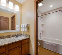 Sonesta Simply Suites Detroit Novi Room