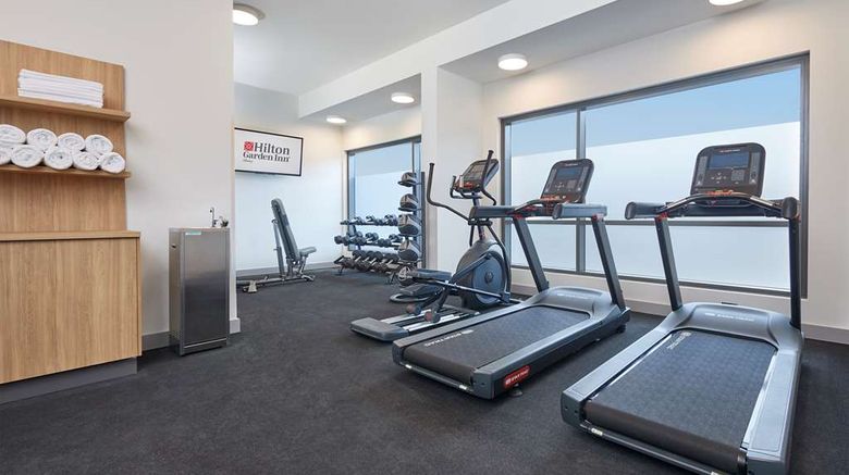 <b>Hilton Garden Inn Albany Health</b>. Images powered by <a href="https://iceportal.shijigroup.com/" title="IcePortal" target="_blank">IcePortal</a>.
