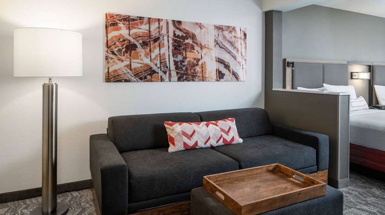 <b>Sonesta Select Nashville Airport Suites Suite</b>. Images powered by <a href="https://iceportal.shijigroup.com/" title="IcePortal" target="_blank">IcePortal</a>.