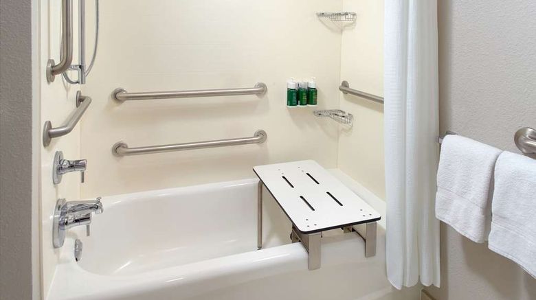 <b>Sonesta ES Suites Raleigh Durham Airport Room</b>. Images powered by <a href="https://iceportal.shijigroup.com/" title="IcePortal" target="_blank">IcePortal</a>.
