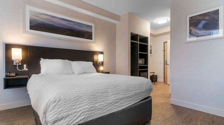 Quality Inn Room
