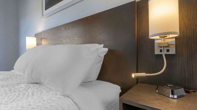 Quality Inn Room