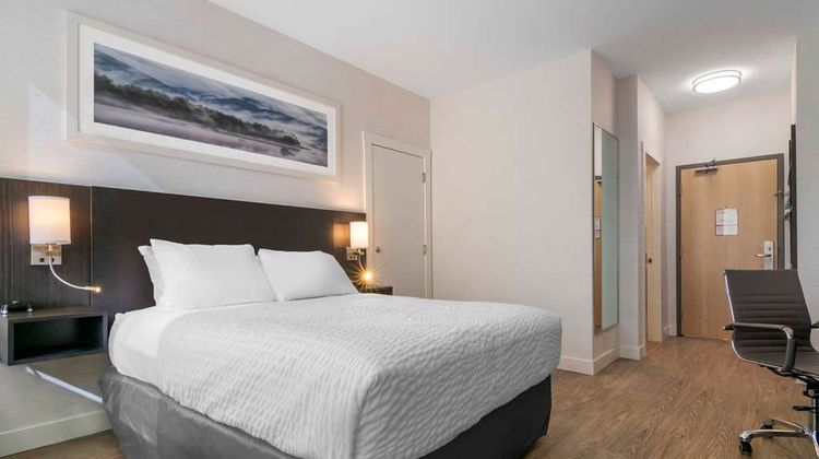 Quality Inn Room