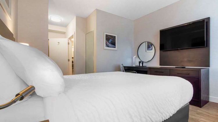 Quality Inn Room