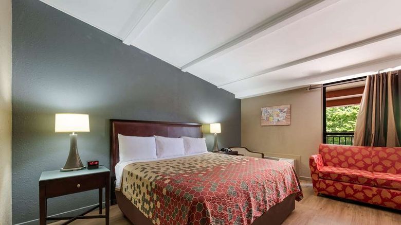 <b>Econo Lodge High Point Room</b>. Images powered by <a href="https://iceportal.shijigroup.com/" title="IcePortal" target="_blank">IcePortal</a>.