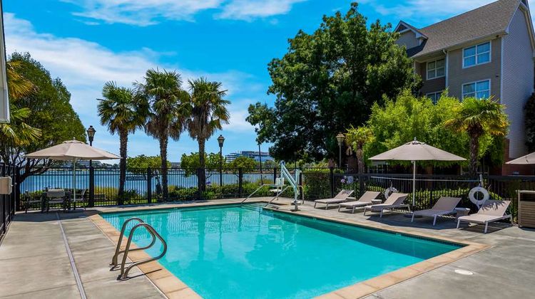 Sonesta ES Suites San Francisco Airport Pool