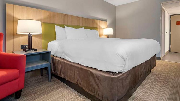Comfort Inn & Suites Syracuse N. Airport Room