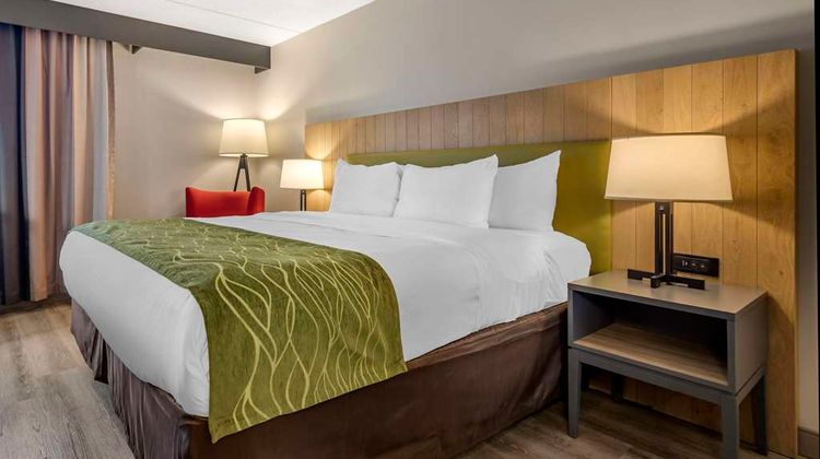 Comfort Inn & Suites Syracuse N. Airport Room