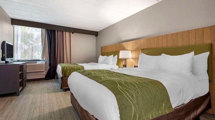 Comfort Inn & Suites Syracuse N. Airport Suite