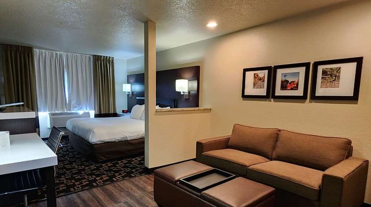 Comfort Inn and Suites Shakopee Downtown Area Room