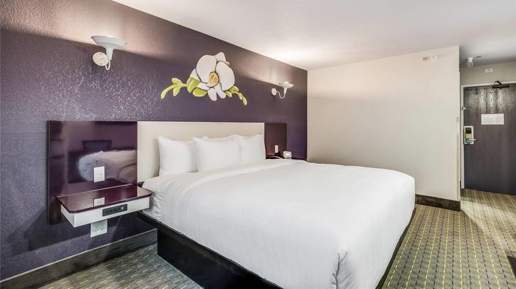 Clarion Pointe Tallahassee North Room