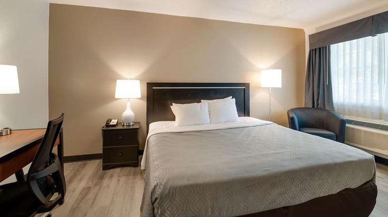 <b>Econo Lodge Auburn I-95 Room</b>. Images powered by <a href="https://iceportal.shijigroup.com/" title="IcePortal" target="_blank">IcePortal</a>.