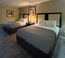 Quality Inn Room