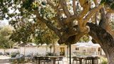 Hotel Ynez Other