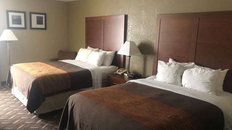 <b>AmericInn by Wyndham Memphis East Room</b>. Images powered by <a href="https://iceportal.shijigroup.com/" title="IcePortal" target="_blank">IcePortal</a>.