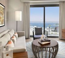 Adagio Premium The Palm Room