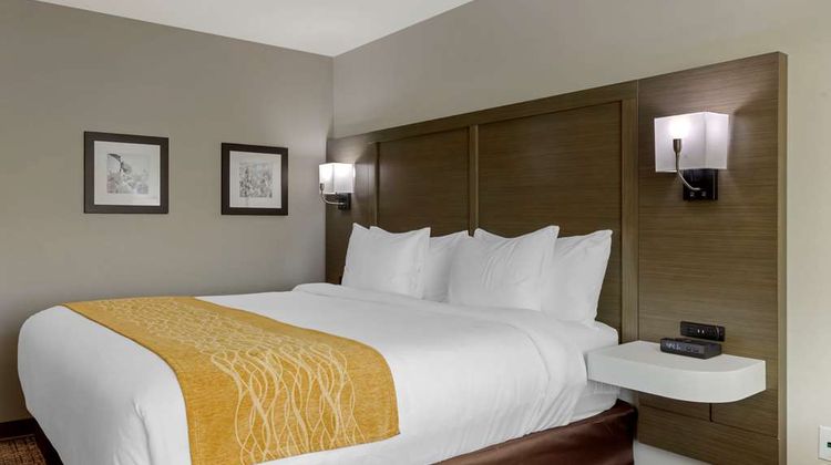 Comfort Inn Jonesboro Room