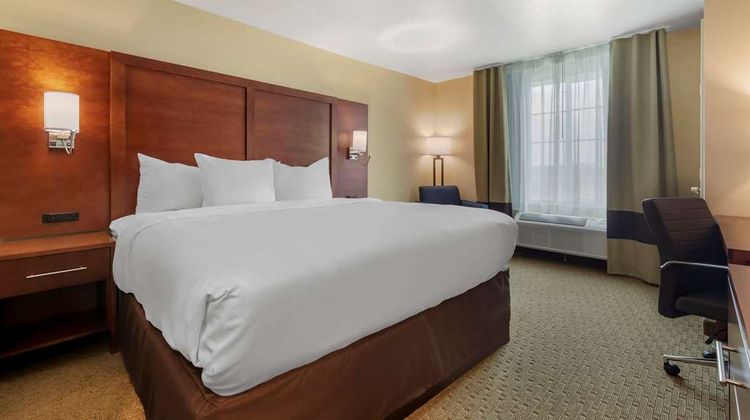 Comfort Inn & Suites Room