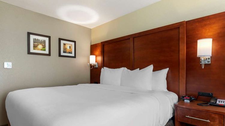 Comfort Inn & Suites Room