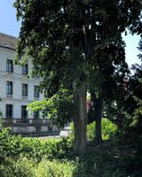 Central Parc