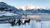 Kempinski Palace Engelberg Other