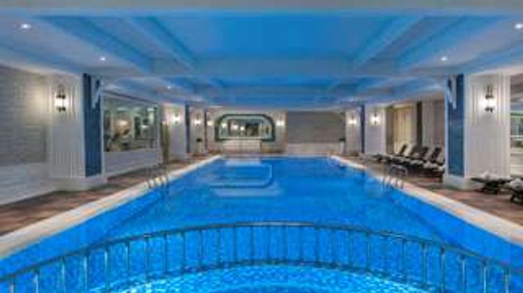 Elite World Business Hotel Pool