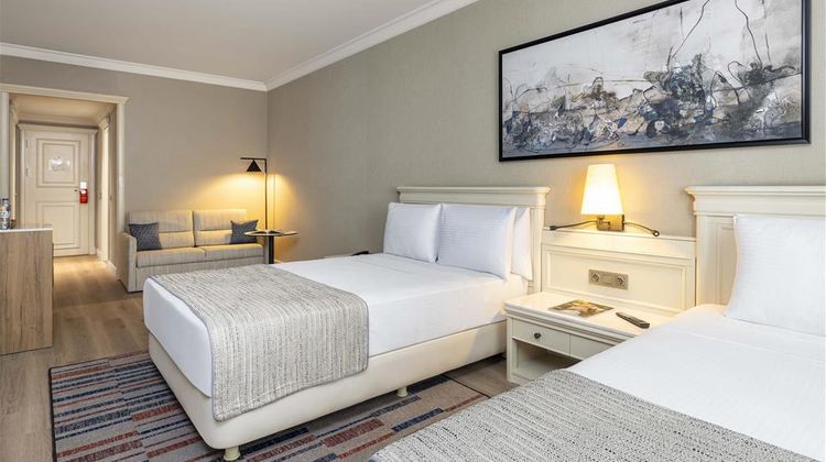 Elite World Comfy Istanbul Taksim  Hotel Room