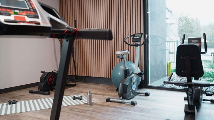 Ibis Styles Thonon Les Bains Hotel Health