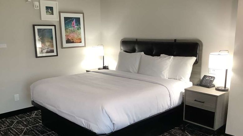 <b>La Quinta Inn & Suites Corpus Christi SE Room</b>. Images powered by <a href="https://iceportal.shijigroup.com/" title="IcePortal" target="_blank">IcePortal</a>.