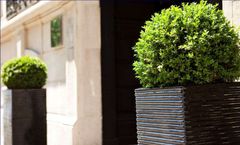 Hotel le 5 Particulier