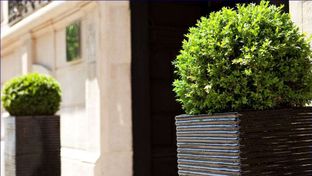 Hotel le 5 Particulier