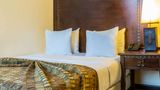 <b>African Regent Hotel Room</b>. Images powered by <a href="https://iceportal.shijigroup.com/" title="IcePortal" target="_blank">IcePortal</a>.