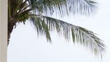 <b>Al Baleed Resort Salalah by Anantara Exterior</b>. Images powered by <a href="https://iceportal.shijigroup.com/" title="IcePortal" target="_blank">IcePortal</a>.