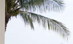 Al Baleed Resort Salalah by Anantara